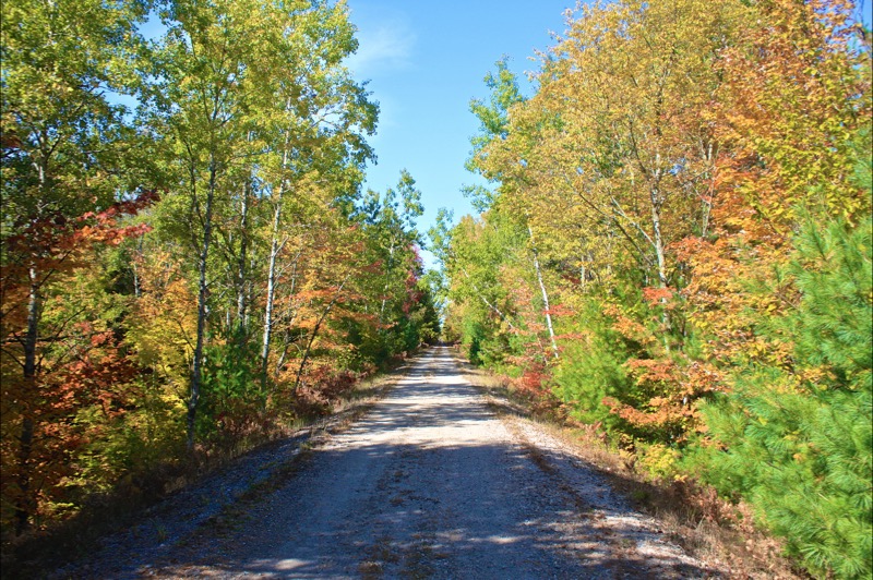 Betsie Valley Trail
